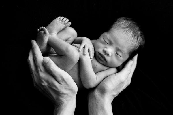 newborn photography