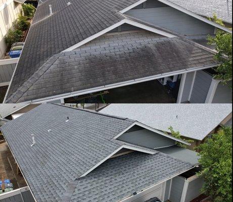 Gold Pacific Roofing