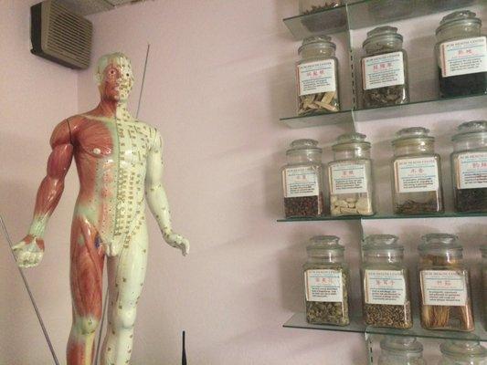 Herbs and human body with acupuncture spots to educate you