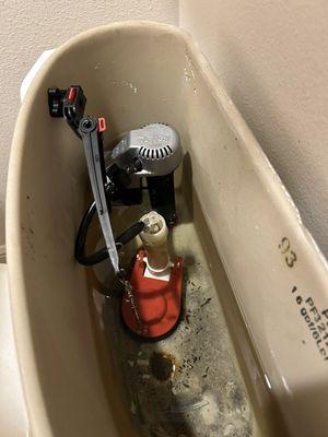 Toilet replacement and repair