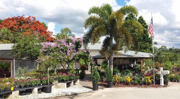 Summer time in our garden Center