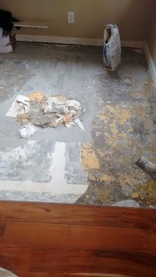 Redoing the hardwood floors.  We had our contractor properly seal the crack in the foundation.  The floor was installed with wrong glue.