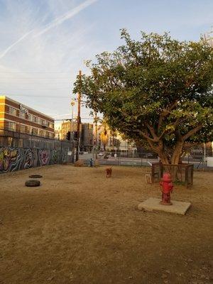 Arts District Dog Park