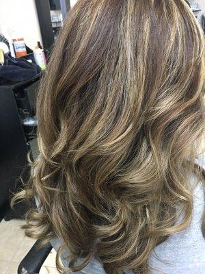 Highlights and color cut style