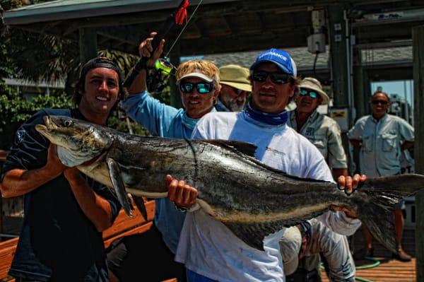 Big cobia