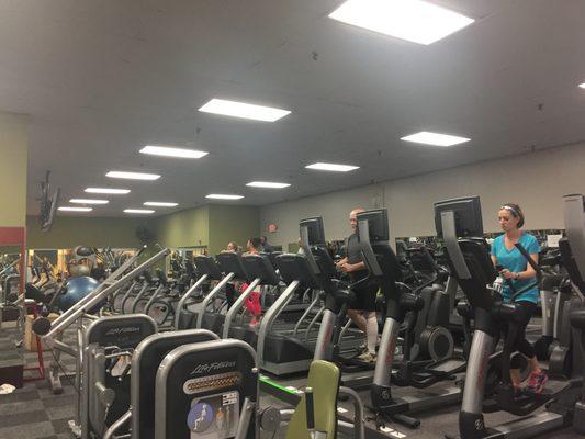 Extensive Cardio area (Treadmills, Ellipticals, Rowing machines, and stationary bikes)