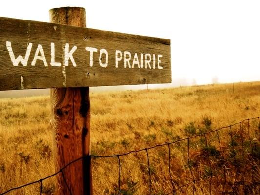 Follow trails through our prairie and forest.