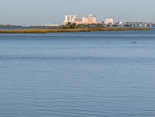 Zooming in on the Biloxi casinos