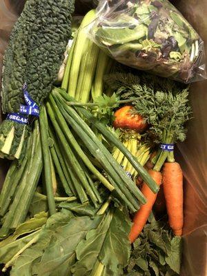 Classic CSA box