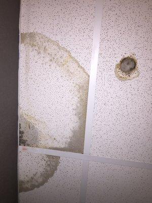 Mold in hallway ceiling