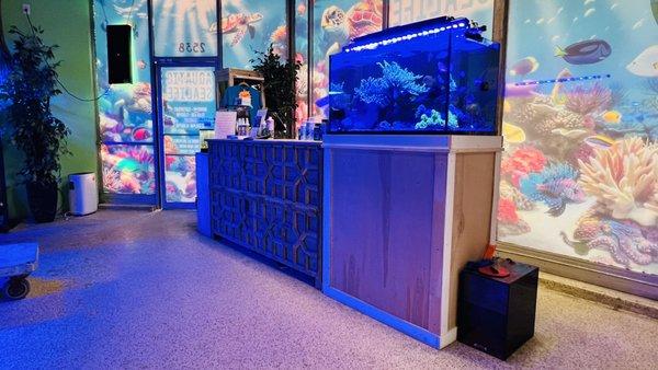 Front of Aquatic Sealife