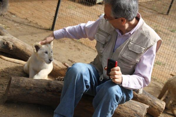 Dr. Stanic with baby lion