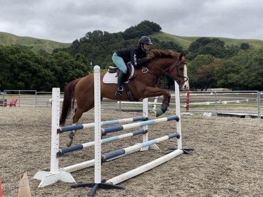 Jumping in the outdoor jump arena