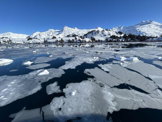 Blackstone Glacier cruise March 6, 2024