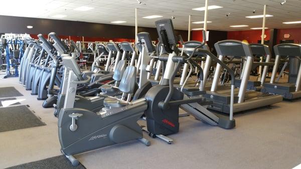 Life Fitness cardio: elliptical cross trainers, summit trainer, recumbent bikes, treadmills and more.