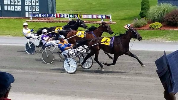 Harness racing's greatest participate in the annual Hall of Fame race. This year Ron Waples was the winner.