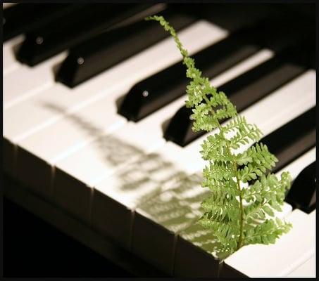 Piano Lessons by Quiescence Music