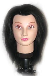 Manikin head