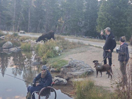 fly fishing with Scots in RMNP