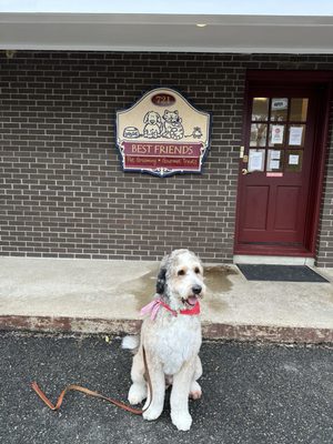 @Huckthedoodle says, my little buddy peed on Adrianne Riso front porch!