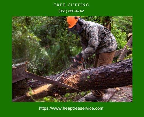 tree cutting in murrieta, ca