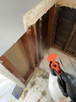 Anti microbrial Bio washing the structural damage of the home