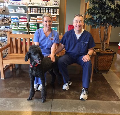 Veterinarian, Dr. Gary Stamps, and his wife, Stacey, (and their Poodle, Reagan) opened Animal Hospital at Auburn Hills in 2008.