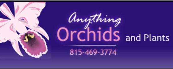 Anything Orchids & Plants