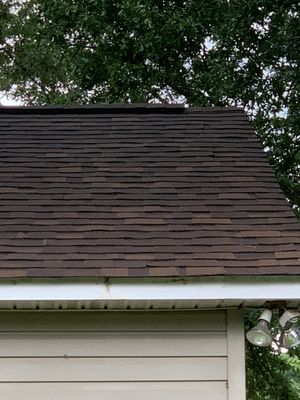 New SHINGLES!!