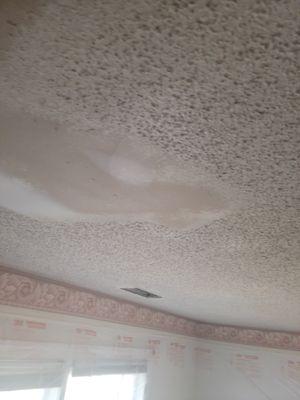 Removed the popcorn ceiling