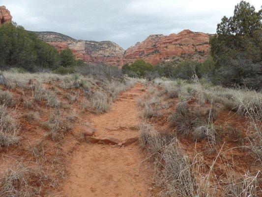 Fay Canyon in Sedona.