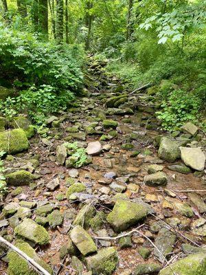 Dried up creek