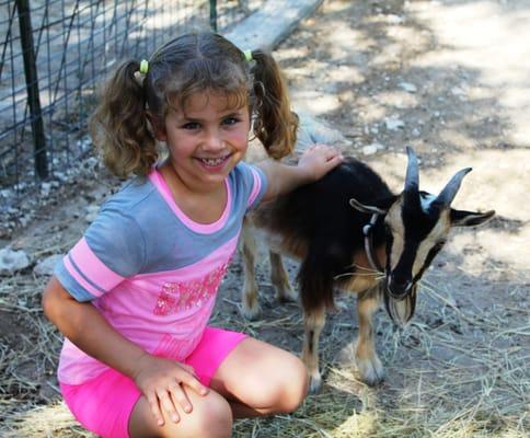 Children are able to pet and learn about baby animals.