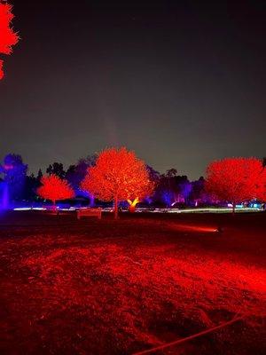 A Winding Walking Trail with Numerous Themes of Holiday Lights & Decorations @ Lightscape @ The LA Arboretum. Dec.2022