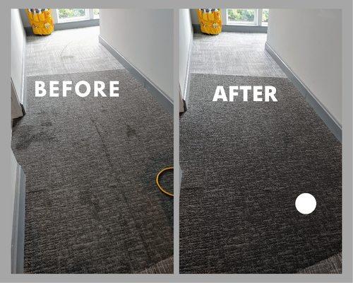 Carpet Cleaning