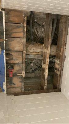 Wood rotten subfloor shower