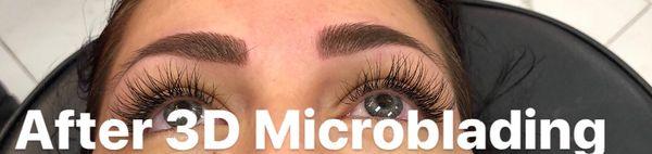 Microblading the eyebrows you always dreamed about are possible to have now !