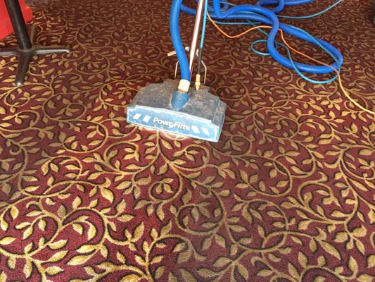 Power Scrubbing for heavily soiled commercial carpets