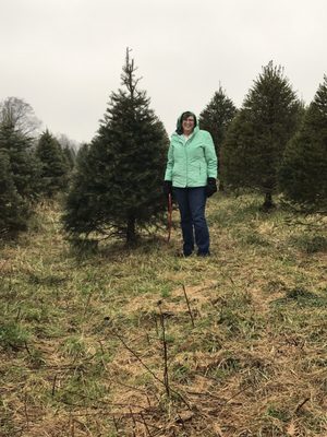 Miller’s Meadowood Christmas Tree Farm