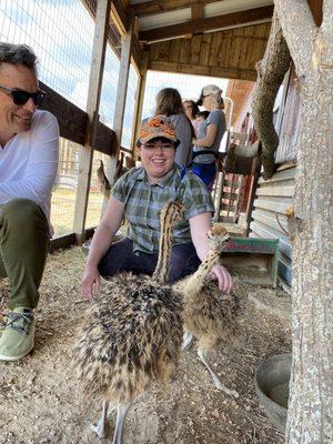 We got to touch newly hatched ostriches