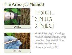 Aborjet's Method to save your Ash tree! This is a safe, tested procedure that has shown to be 99.9% effective at controlling ...