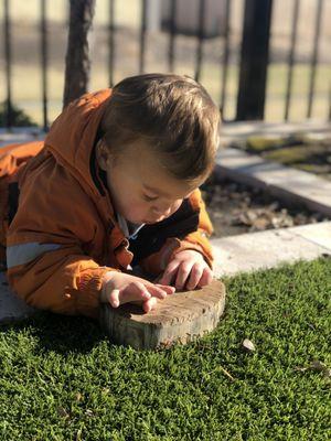 Children are free to explore balancing freedom and structure the Montessori way.