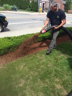 Mulch Installation