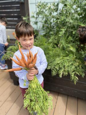 Carrots from our garden