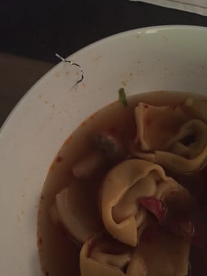 Metal scourer remnants in my bowl of wonton and house special soup. (Bought a wonton soup and house special soup and Mixed them)