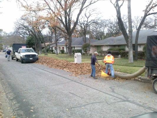 The way we do leaf clean-up is *Bag-less*