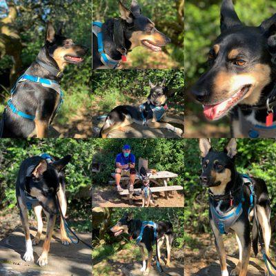 Vista Point Picnic Grounds