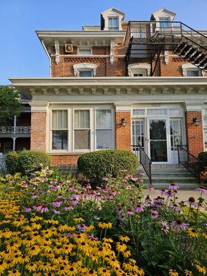 Summer flowers in full bloom outside the museum's main entrance.