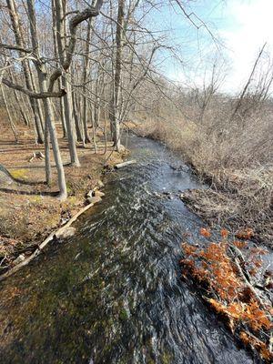 Gurgling stream in the park