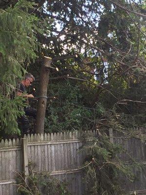 Eck's Tree Service